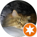 Niklas B. profile picture