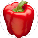 Anton E. profile picture